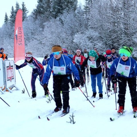 Fyrsta Súlur Vertical-skíðagangan, í Kjarnaskógi. Mynd: Skapti Hallgrímsson